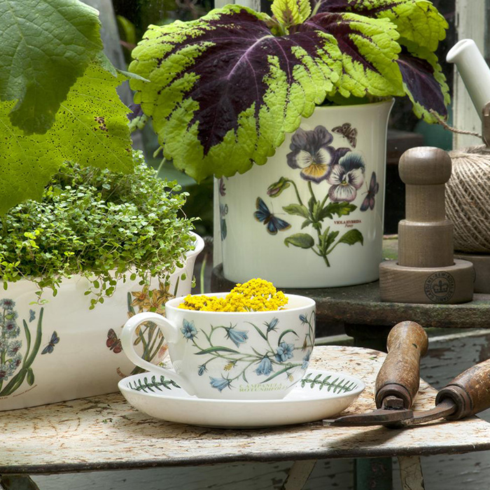 Botanic Garden Teacup and Saucer  Harebell 0.20L 7oz.